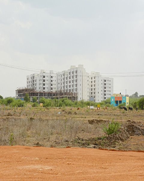 alt image
